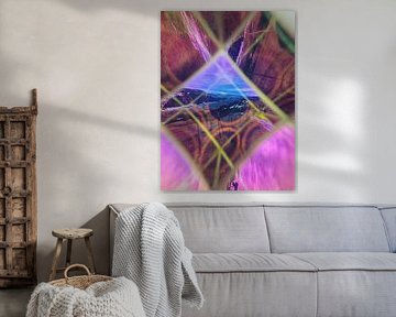 Prisme du papillon sur Maximiliane Wittek