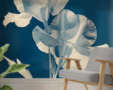 Vintage witte bloem tegen blauwzwarte achtergrond – Een artistieke ode aan Amerikaanse fotografie van Roger VDB