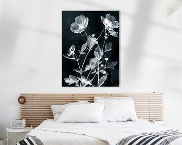black-and-white photogram of a plant emt flowers in the style of american photo's from the '20s by Roger VDB