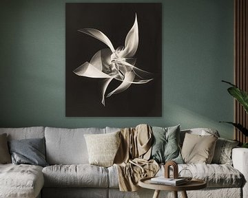 Abstract photogram in the style of vintage photos's by Man Ray by Roger VDB