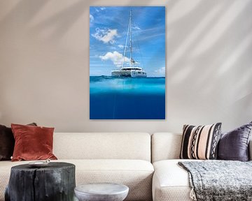 freedom van arnaud plas