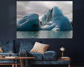 Drijvende ijsberg van Sander Meijering