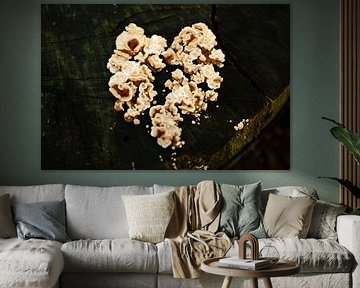 (H)art de la nature
