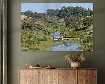 Waterleidingduinen Zandvoort