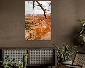 Rode rots in Bryce Canyon National Park van Sander Meijering