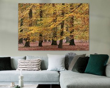 Dans van de beuken in gouden herfstkleed