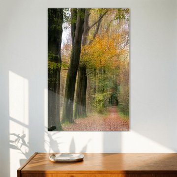 Forest Avenue im Herbst von Franke de Jong