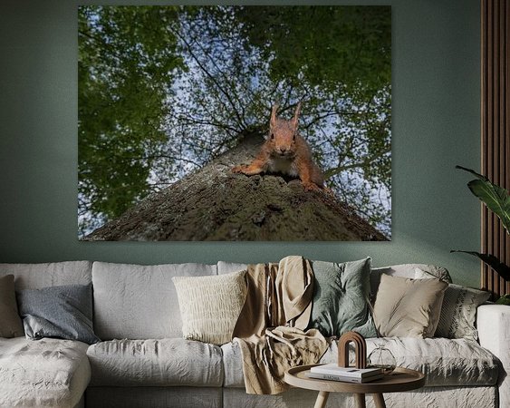 Aperçu de la chambre