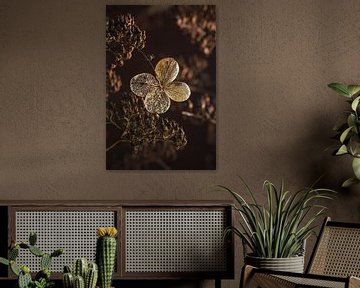 Eyecatcher in bruintinten: Ik blijf nog even! van Marjolijn van den Berg