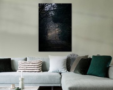 De eerste zonnestralen tijdens een koude winterochtend van Lobke Bink