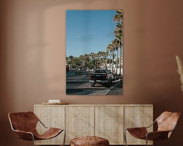 Palm trees and city life by Xander Broekhuizen