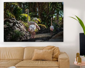 Flamingos in green by Xander Broekhuizen