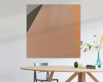 Abstracte organische en geometrische vormen nr. 9 van Dina Dankers