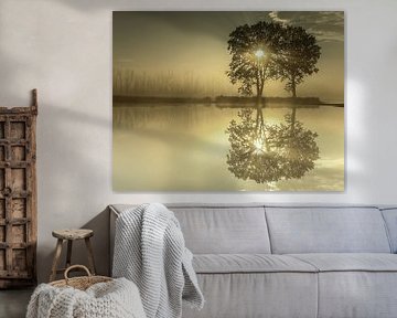 The silence of nature