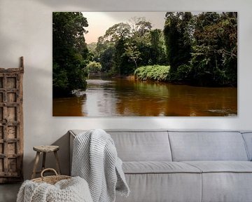 Het eiland Awarradam in Suriname van René Holtslag