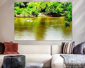 Het eiland Awarradam in Suriname van René Holtslag