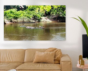 Het eiland Awarradam in Suriname van René Holtslag