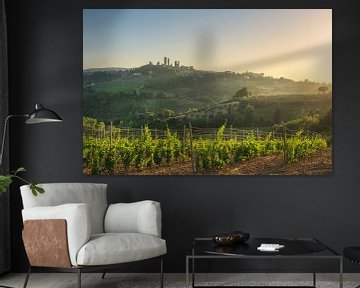 Wijngaarden op het platteland van San Gimignano. Toscane, Italië van Stefano Orazzini
