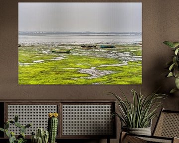 Colours and reflections at low tide in Diu