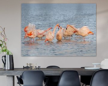 Flamingo’s in Nederland van Lies Bakker