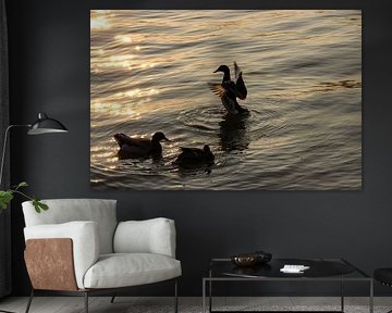 Dance of light and water by Heavenly Made Memories