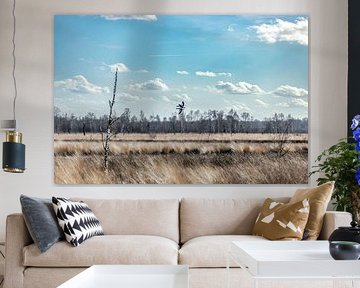Dance of the geese by Nicole Schmidt