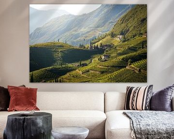 Wijngaarden in Santa Maddalena, Bolzano, Zuid-Tirol van Stefano Orazzini