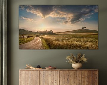 Landschap bij zonsondergang in de Maremma, Weg en glooiende heuvels in Bibbona van Stefano Orazzini