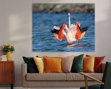 Flamingo's Grevelingenmeer van Lies Bakker