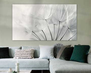 Pluizige Paardenbloem van Studio BB