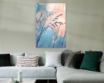 Blade of Grass in Golden Light ii by Studio BB