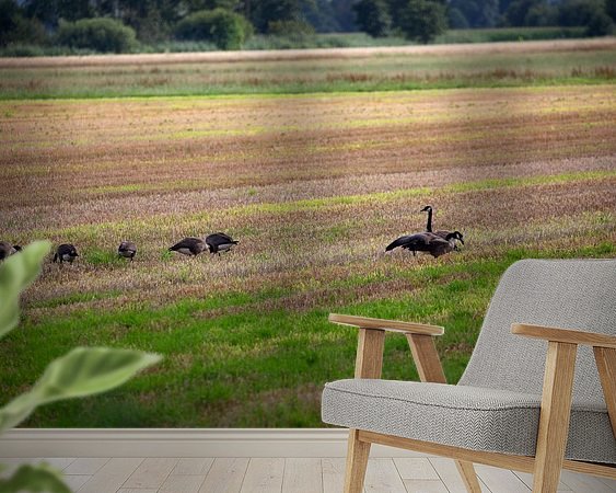 Raumvorschau
