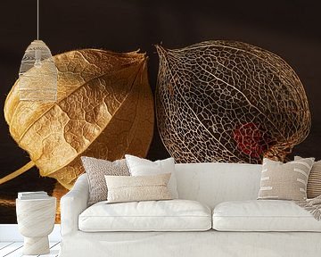 Panorama fragile togetherness: vulnerable and fragile but still so happy together by Marjolijn van den Berg