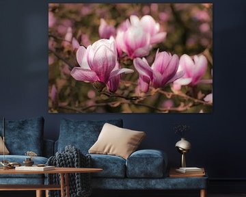 Magnolia bokeh van Dieter Walther