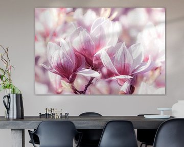 Magnolia bloesem van Dieter Walther