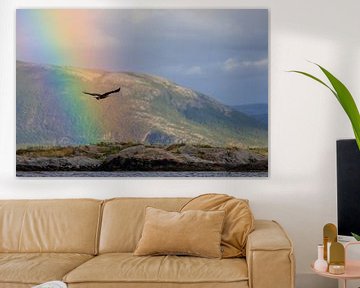 Zeearend in fjord landschap Noorwegen met regenboog van Henk van Dijk