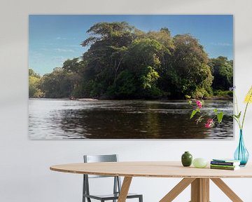 Het oerwoud van Suriname bij Awaradam van René Holtslag