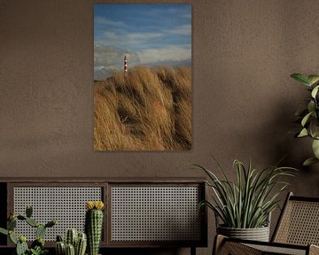 Vuurtoren Ameland van Rinnie Wijnstra (FotoAmeland )