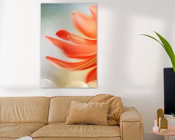 Dahlia art - orange - macro photography