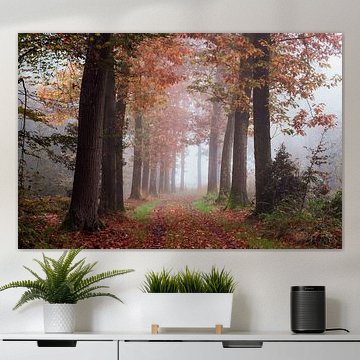 Von der Natur umarmt