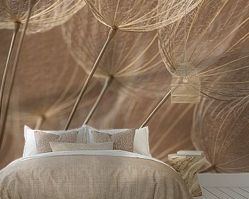 Warm colours: Nature's fluff in the light by Marjolijn van den Berg