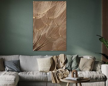Warme Farben: Der Flaum der Natur im Licht von Marjolijn van den Berg