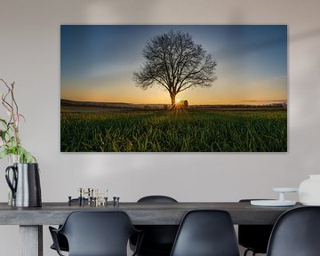 the tree