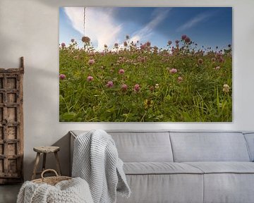 Klaverbloemen in een weide. Bloemenweide in groen en roze.