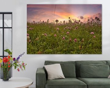 Klaverbloemen in een weide. Bloemenweide in groen en roze.