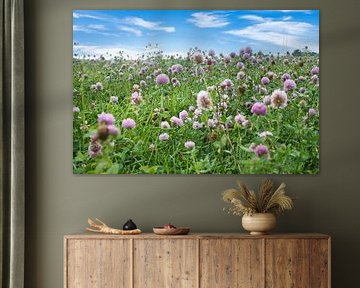 Klaverbloemen in een weide. Bloemenweide in groen en roze.