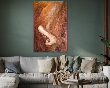 La patte d'un orang-outan tient fermement la momie sur Anne Ponsen