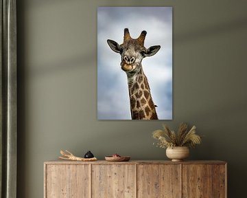 Giraffe in Moremi Game Reserve, Botswana by Paula Romein