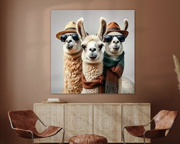 Een drietal stoere grappige boys lama,s.