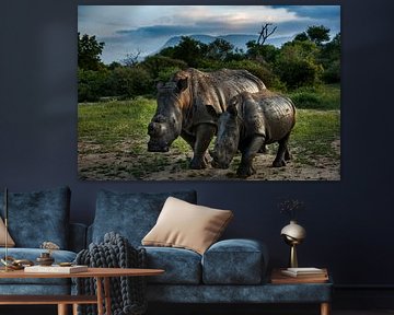 Rhinos, mother and calf, in South Africa by Paula Romein